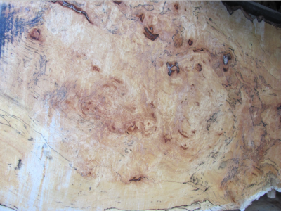 Spalted Wood Example